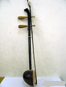 椰胡 擦奏弦鸣乐器